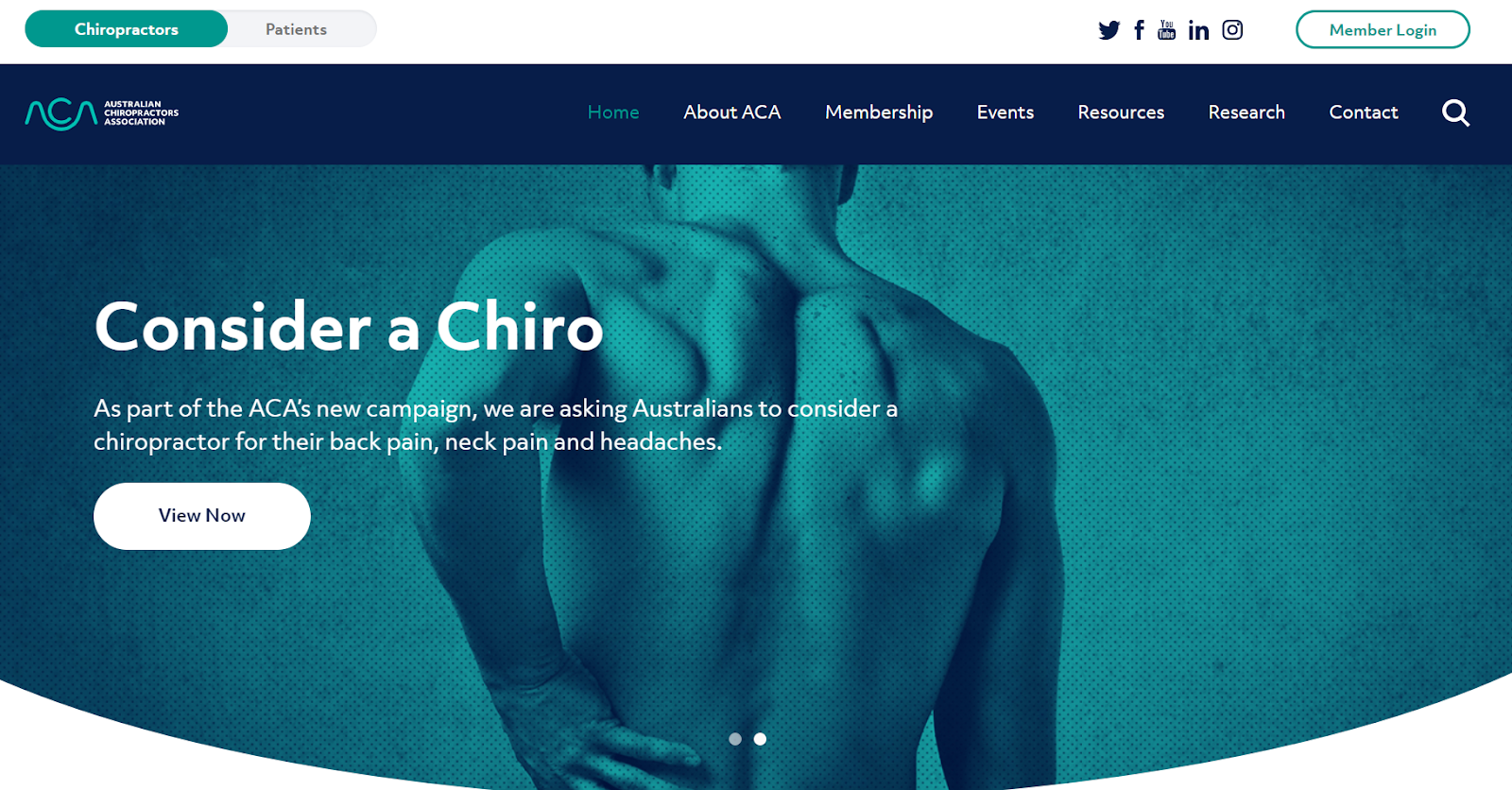 26 Chiropractor Website Design Examples We Love   How To Make Your Own
